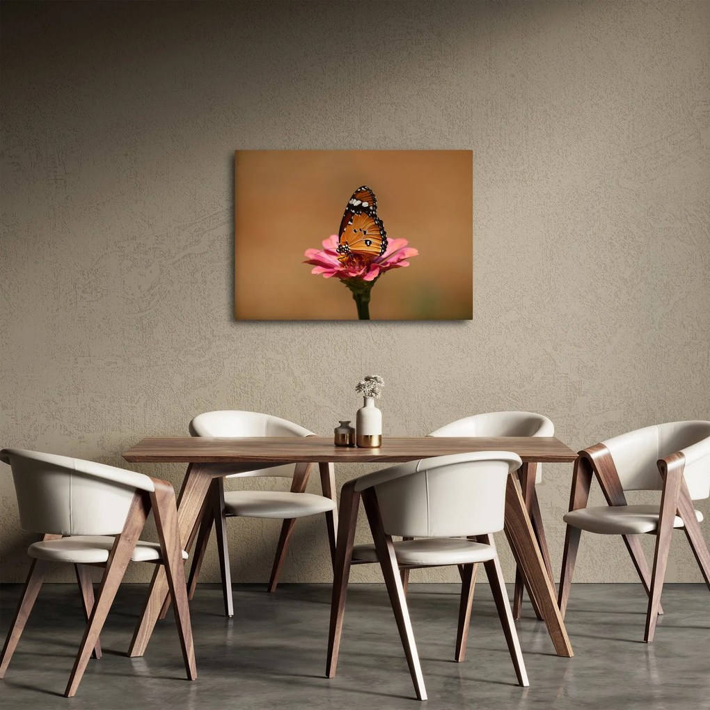 Tablou cu fluture pe floare (70x50 cm)