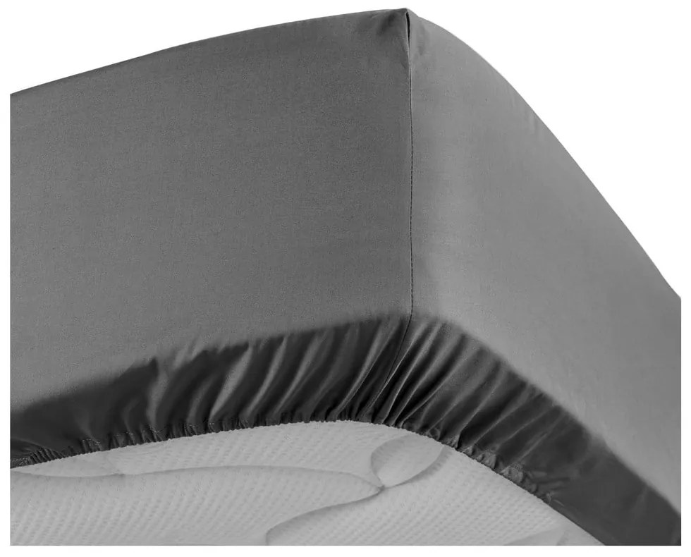 Cearceaf gri antracit din bumbac percal cu elastic 90x190 cm Percaline – douceur d'intérieur