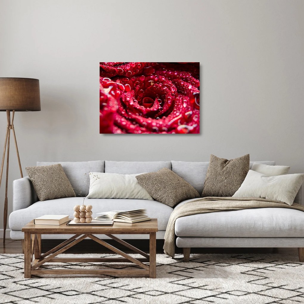 Tablou pe sticlă cu floarea trandafirului roșu (70x50 cm)