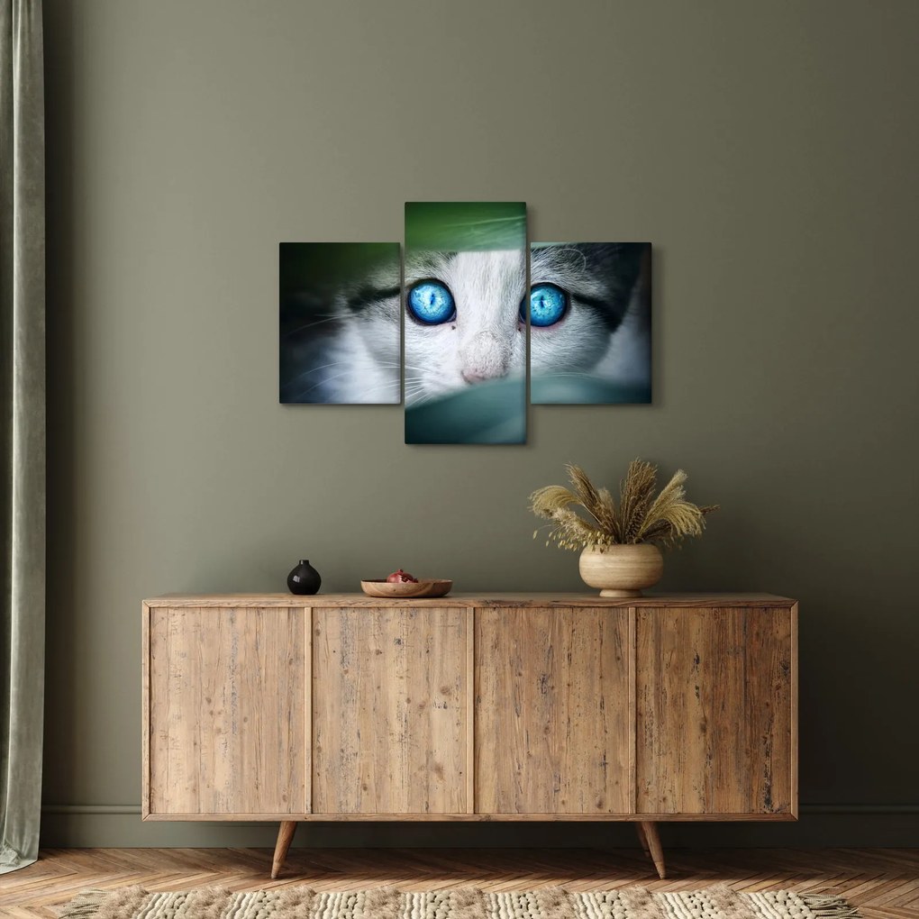 Tablou cu pisica (90x60 cm)