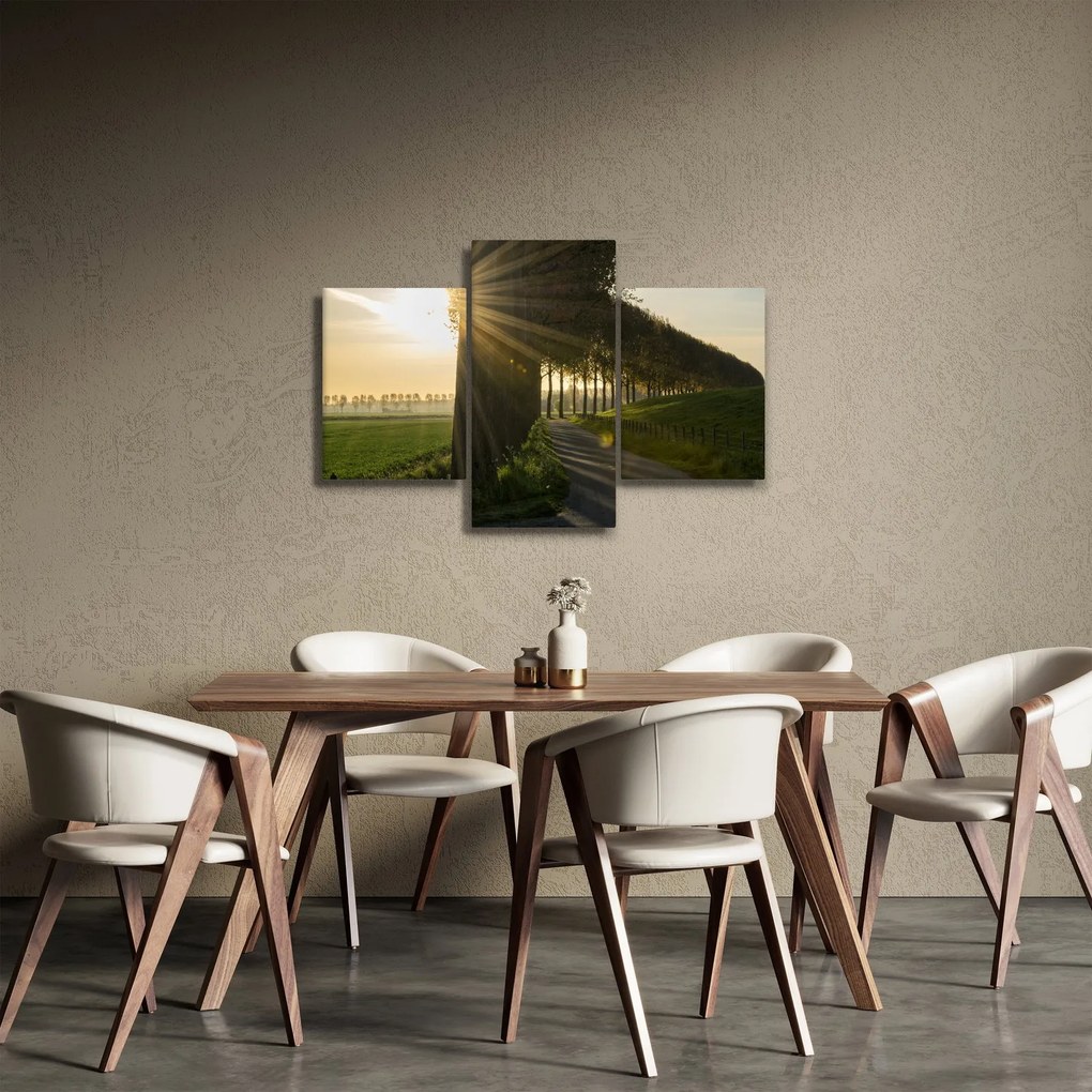 Tablou cu alee (90x60 cm)