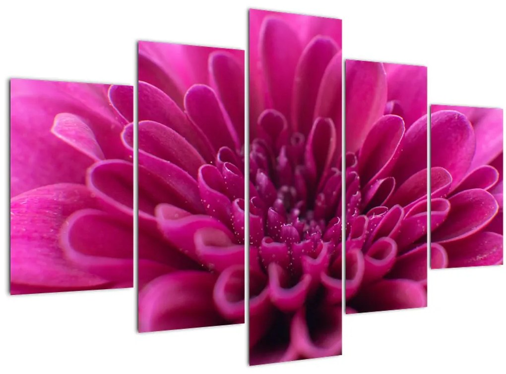 Tablou cu floare (150x105 cm)