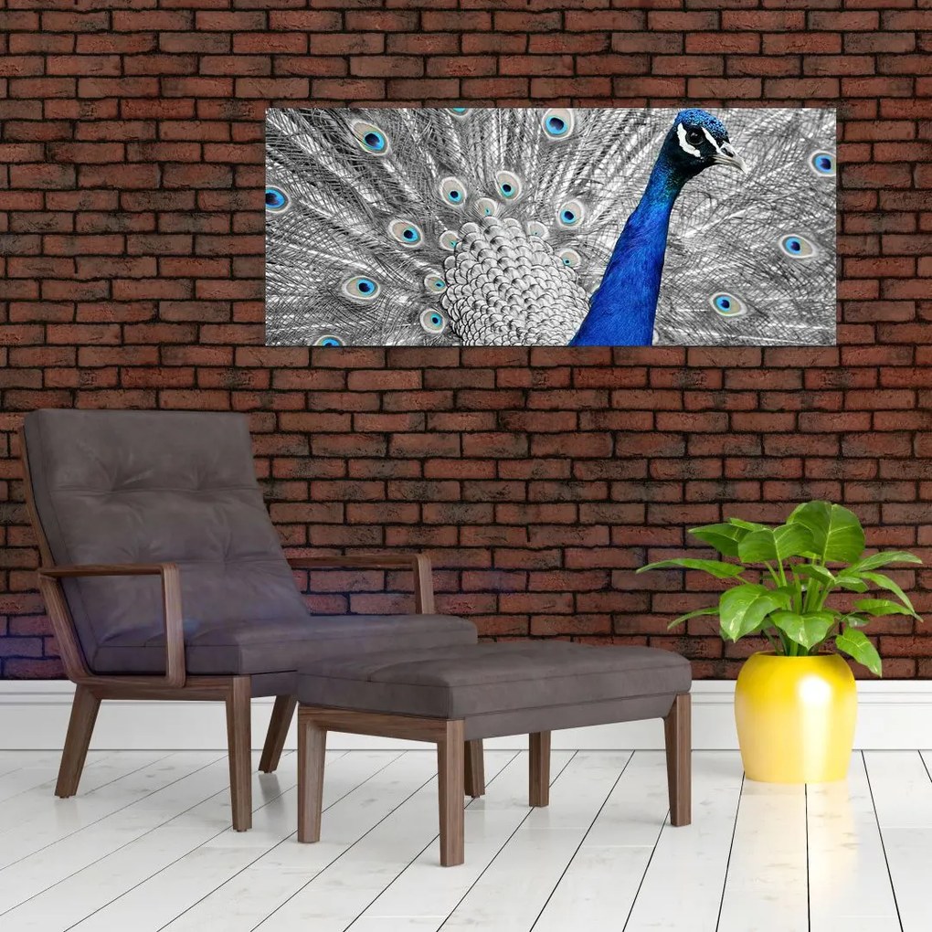 Tablou - păun albastru (120x50 cm)