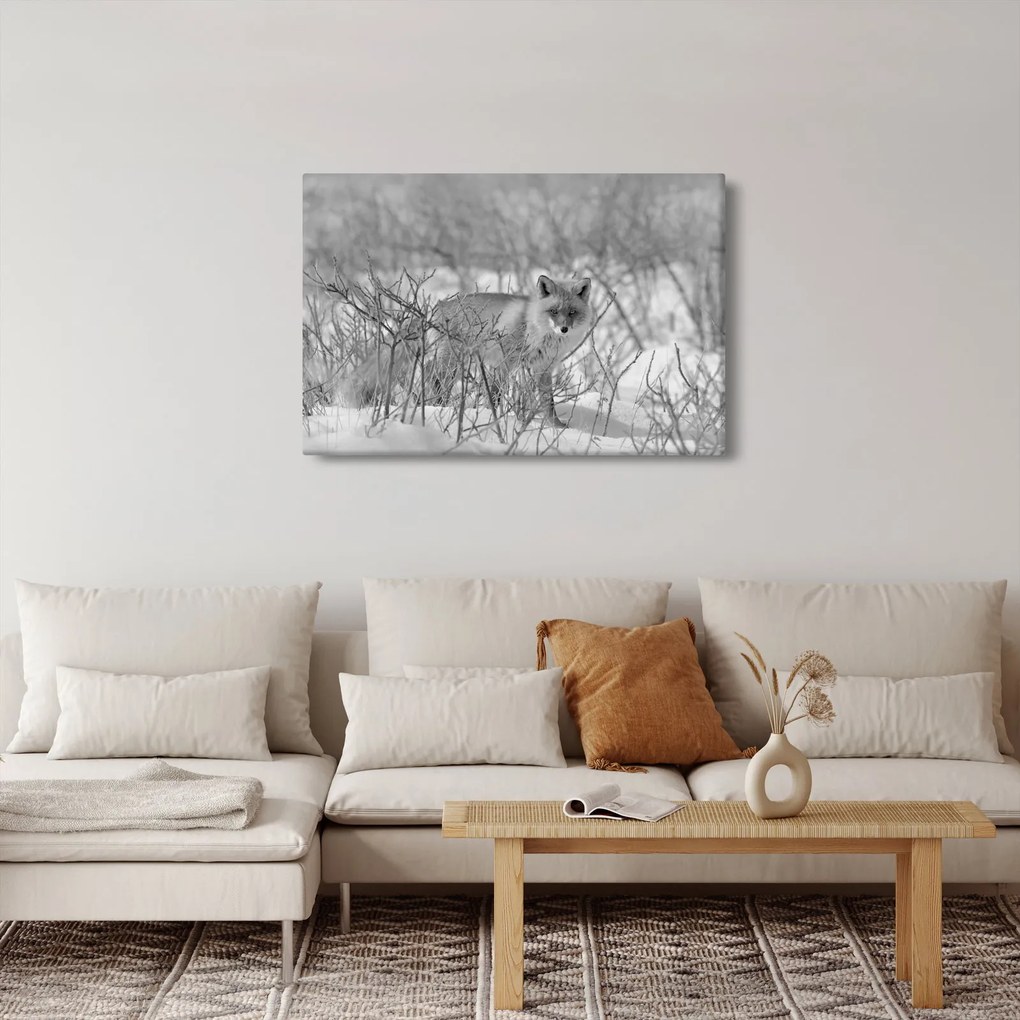 Tablou - Vulpe,alb-negru (90x60 cm)