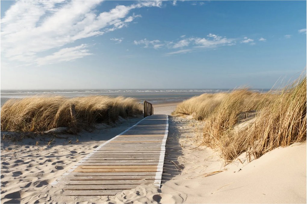 Tablou - Plaja cu nisip de pe insula Langeoog, Germania (90x60 cm)