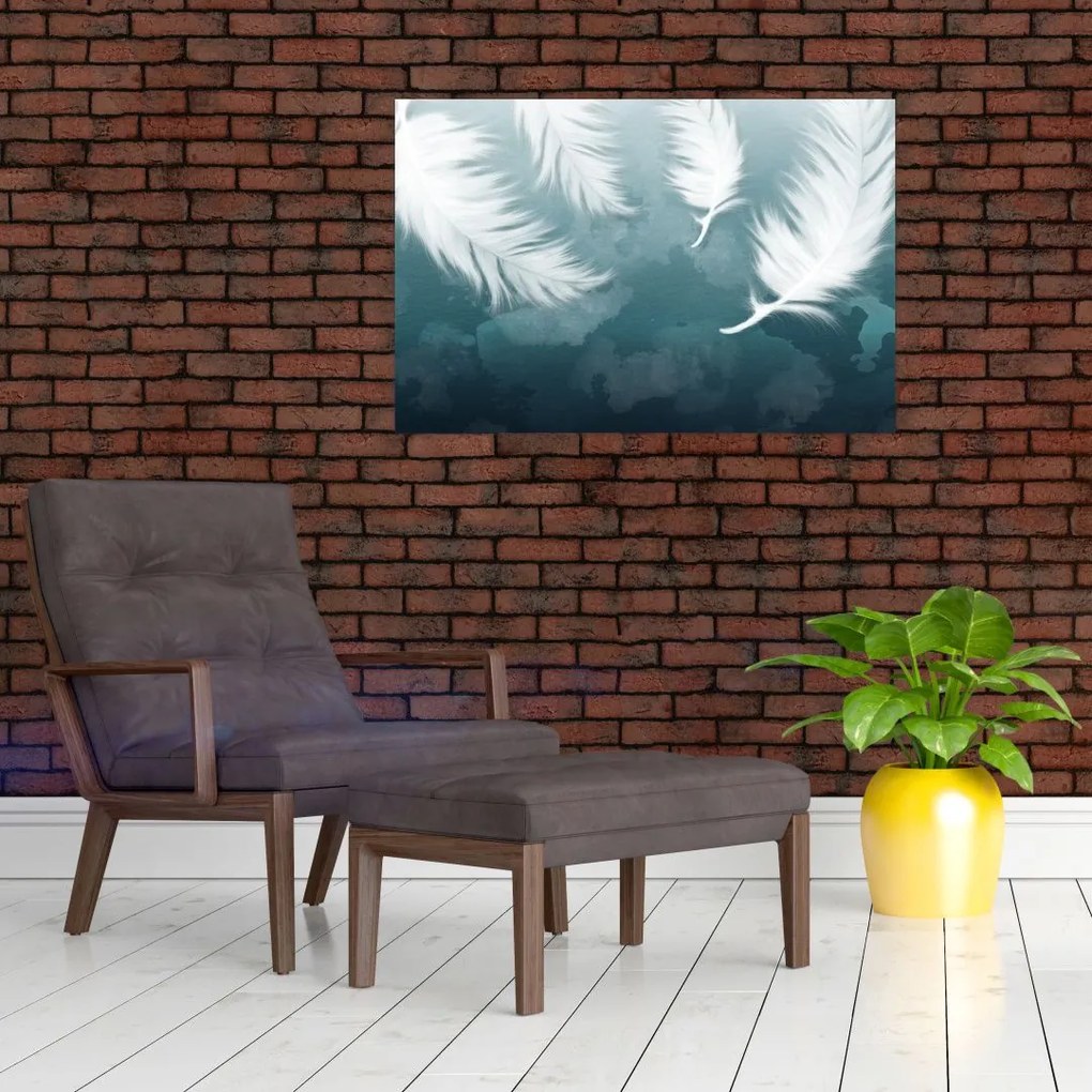 Tablou - Pene albe (90x60 cm)