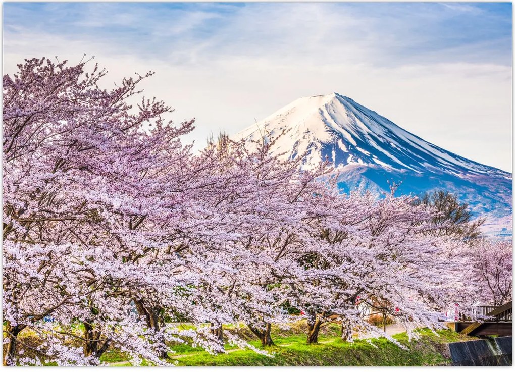 Tablou - Japonia în primăvară (70x50 cm)