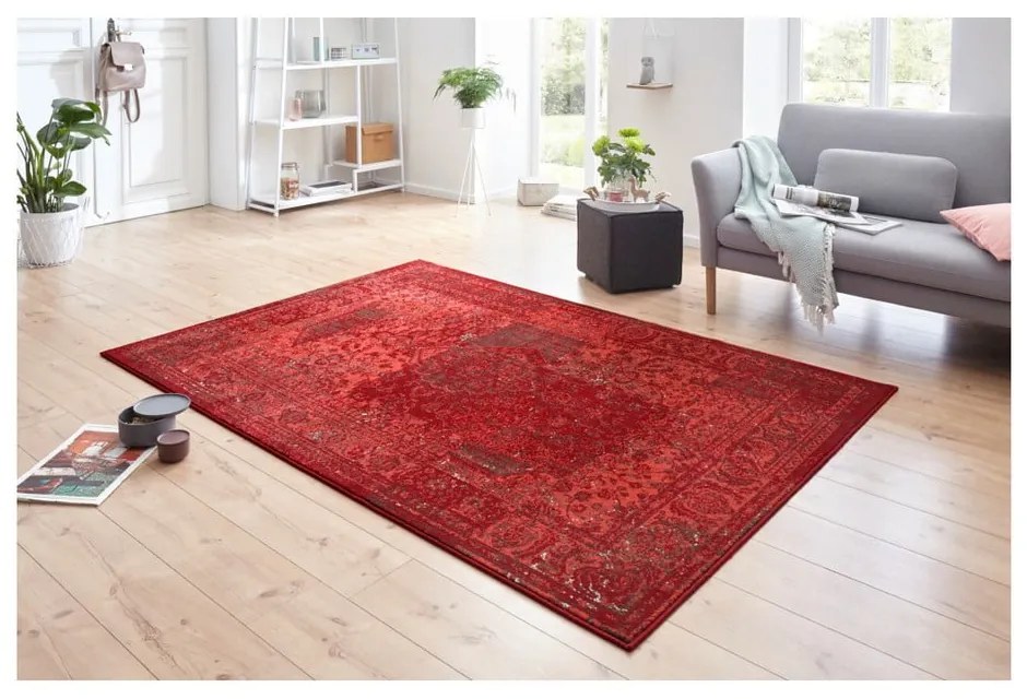 Covor Hanse Home Celebration Plume, 160x230 cm, roșu