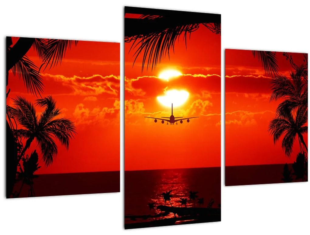 Tablou - apus de soare cu avion (90x60 cm)