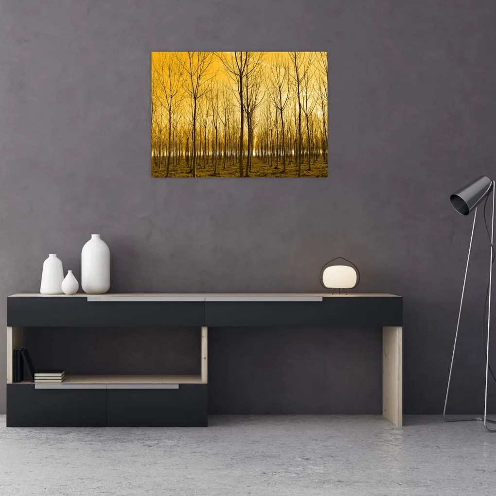 Tablou pe sticlă - Palntație cu pomi (70x50 cm)