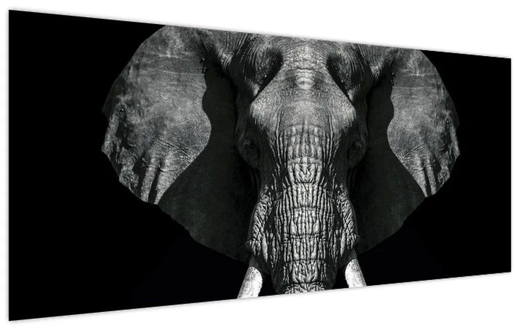 Tablou - Elefant pe fundal negru (120x50 cm)