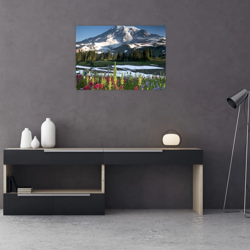 Tablou pe sticlă - Muntele Rainier (70x50 cm)
