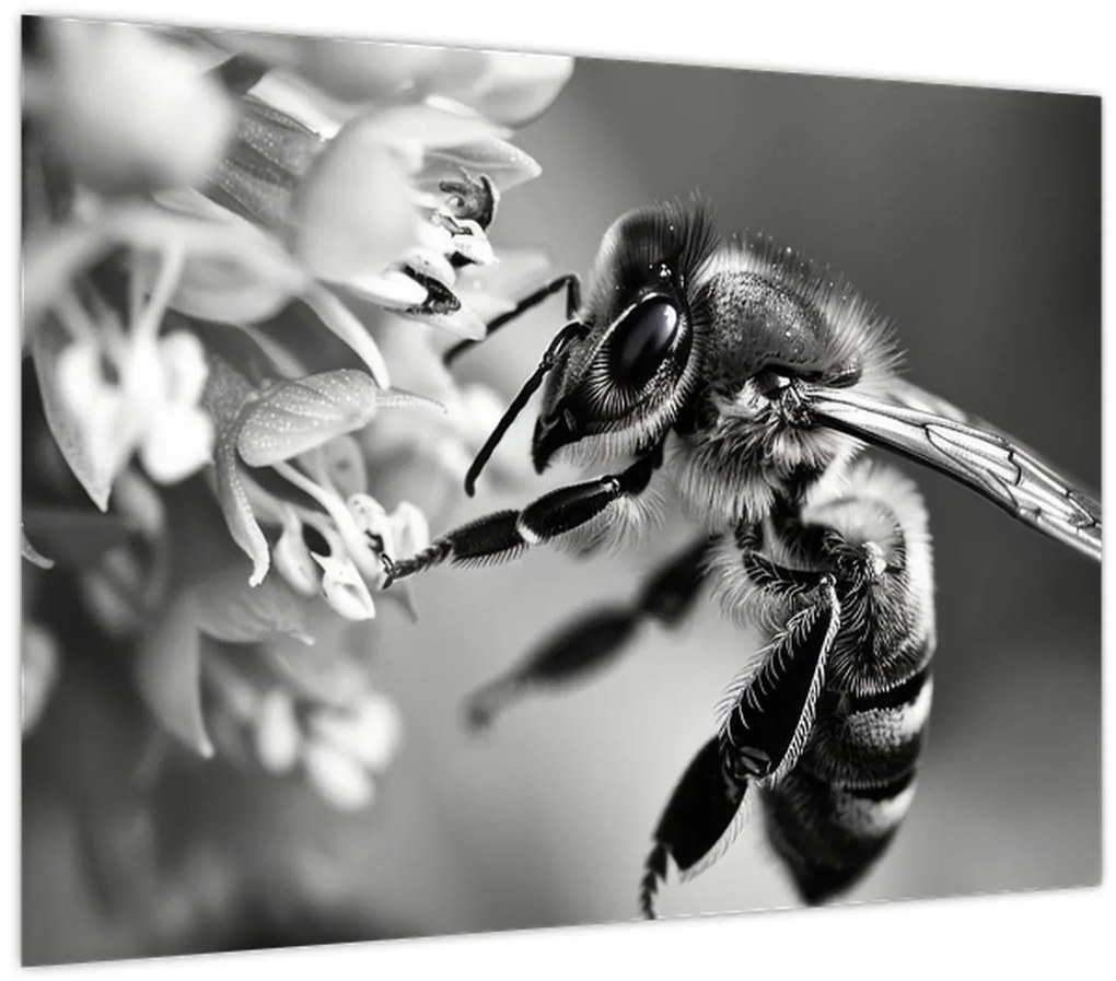 Tablou - Detaliu de albină (70x50 cm)
