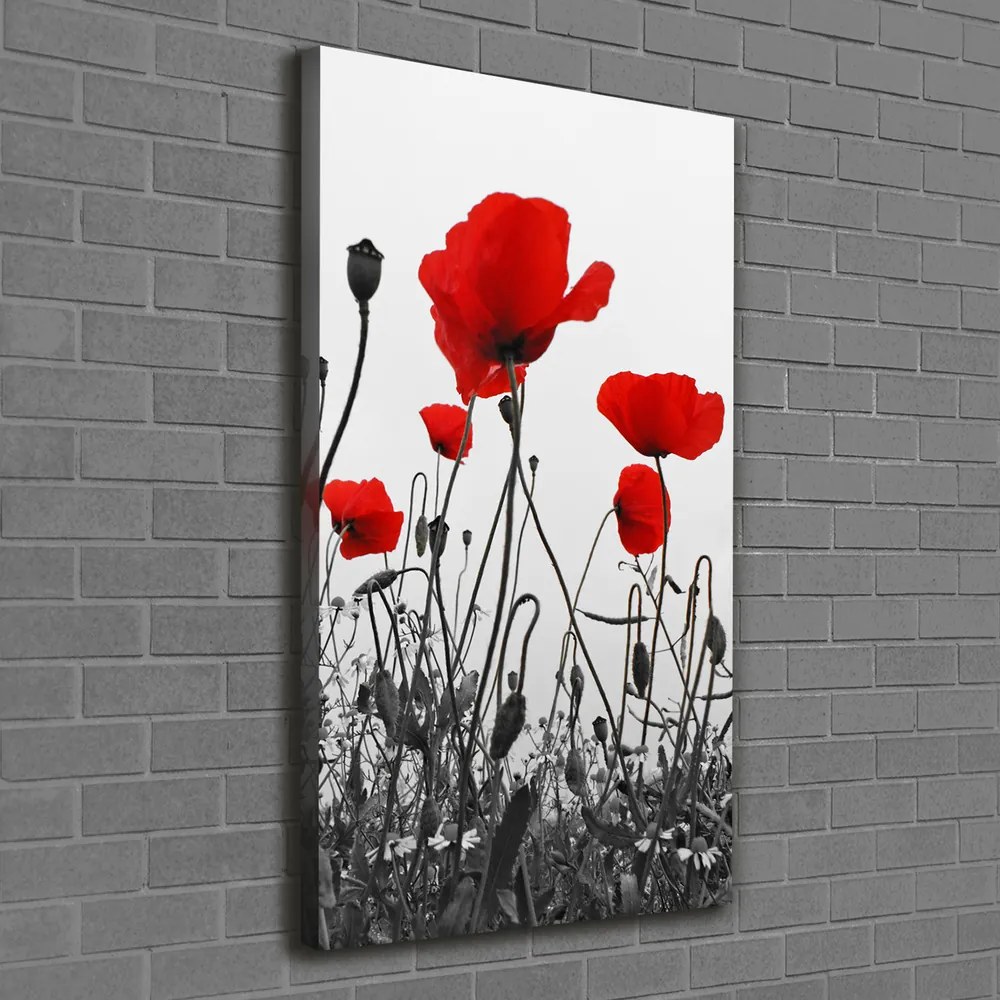 Print pe pânză Wildflowers maci
