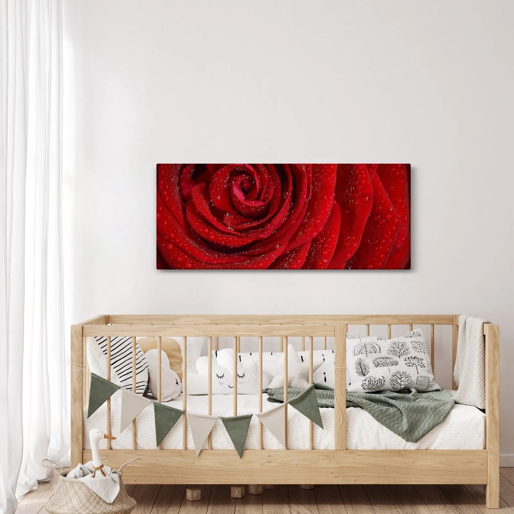 Tablou - detaliu de trandafir (120x50 cm)