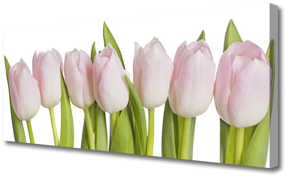 Tablou pe panza canvas Lalele Floral Roz Verde | BIANO