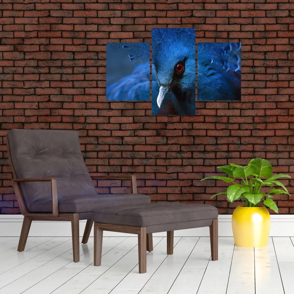 Tablou - Porumbel încoronat (90x60 cm)