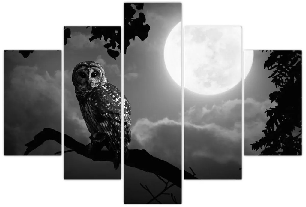 Tablou - Bufniță de noapte, alb și negru (150x105 cm)