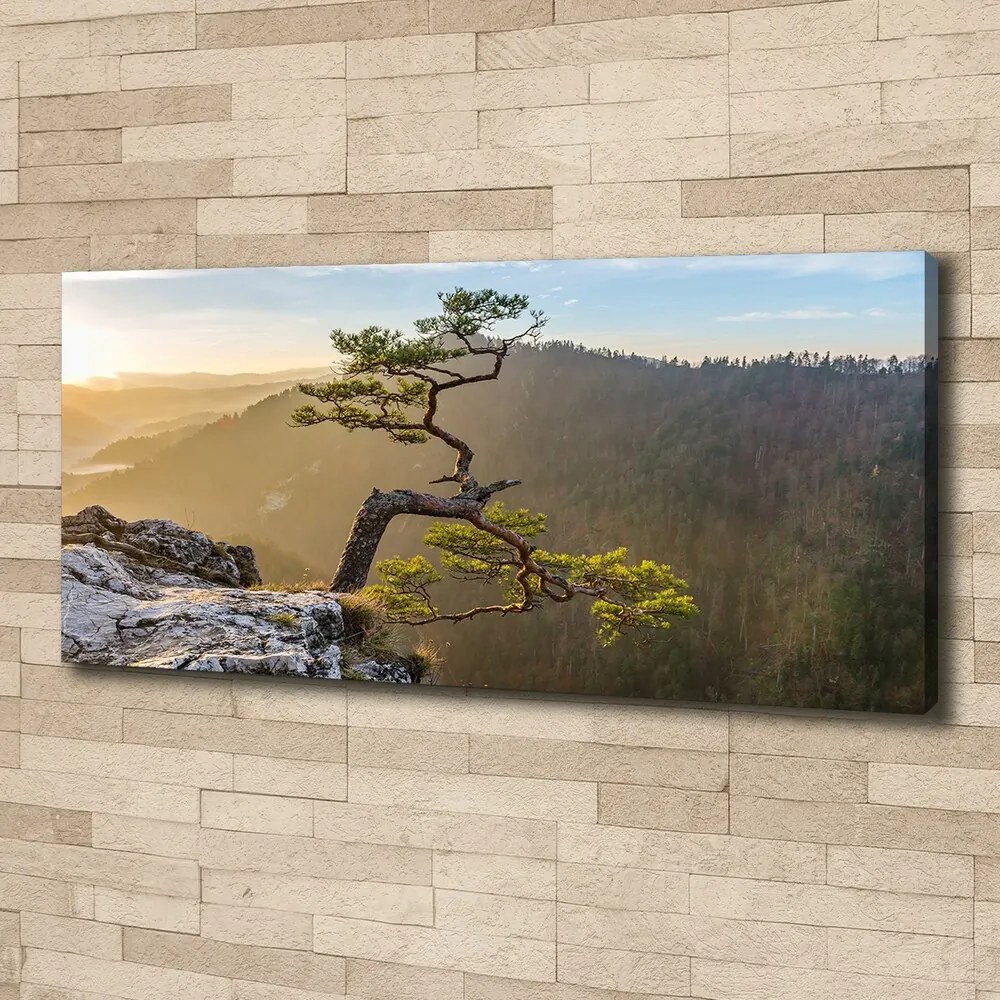 Tablou pe pânză canvas Pieniny sokolica
