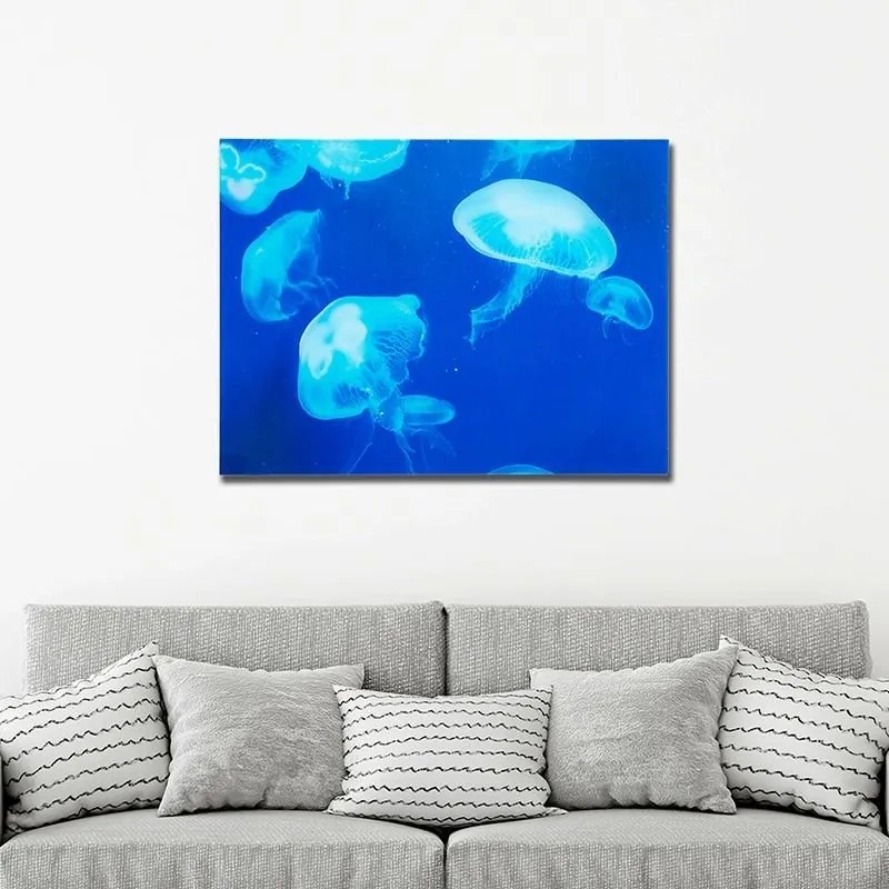 Tablou decorativ imagine imprimata pe sticla, Meduse 60x80cm Quallen A-37413 VC
