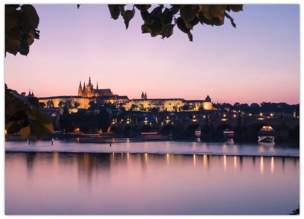 Tablou cu palatul din Praga și Vltava (70x50 cm)