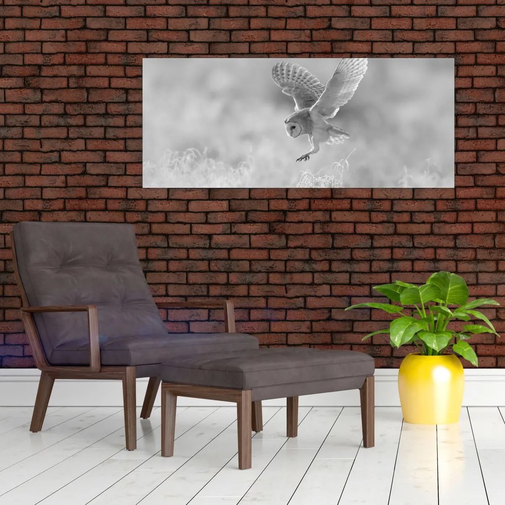 Tablou - Bufniță,alb-negru (120x50 cm)