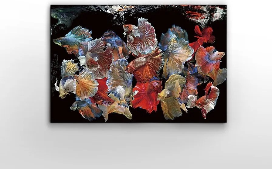 Tablou de perete decorativ Peces Siam, 150x100cm