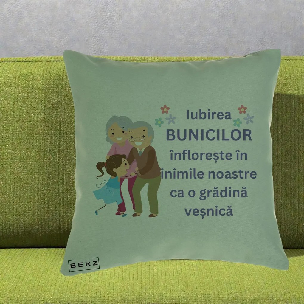 Perna personalizata bunici: Iubirea bunicilor, cu nepoata, text mov, 40x40 cm cu Umplutura, Verde, BEKZ