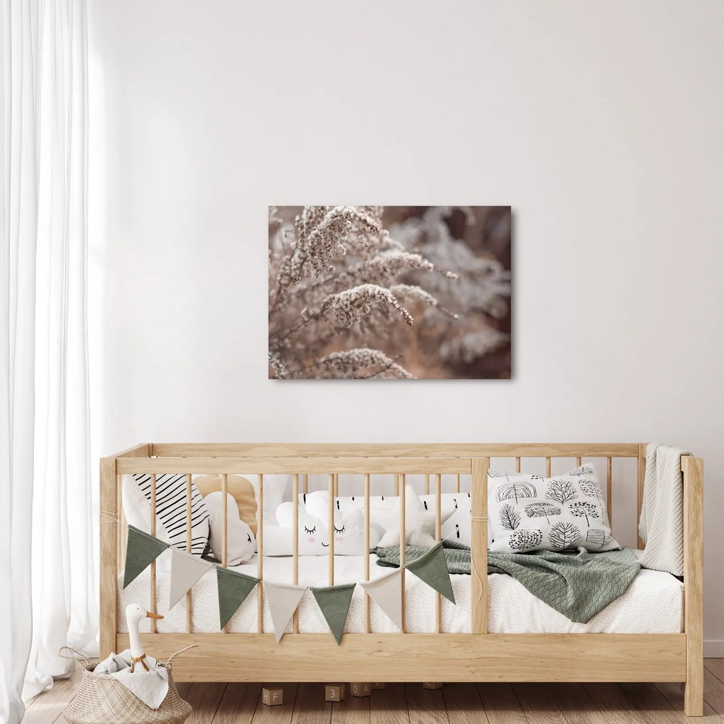 Tablou cu plante (70x50 cm)