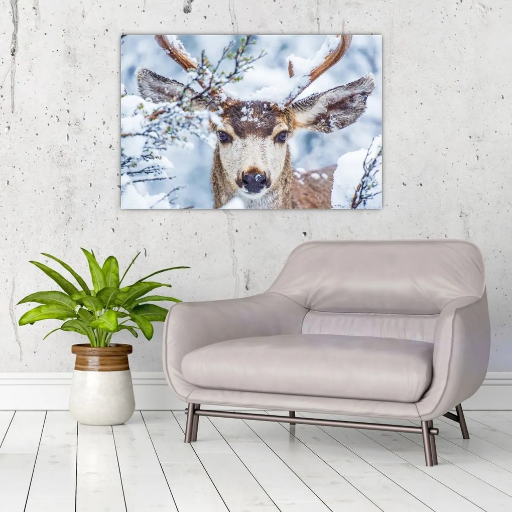 Tablou - Cerbul catâr (90x60 cm)