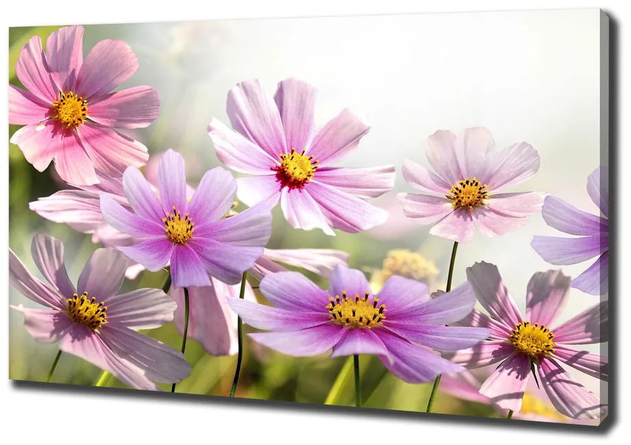 Print pe canvas Flori în lunca