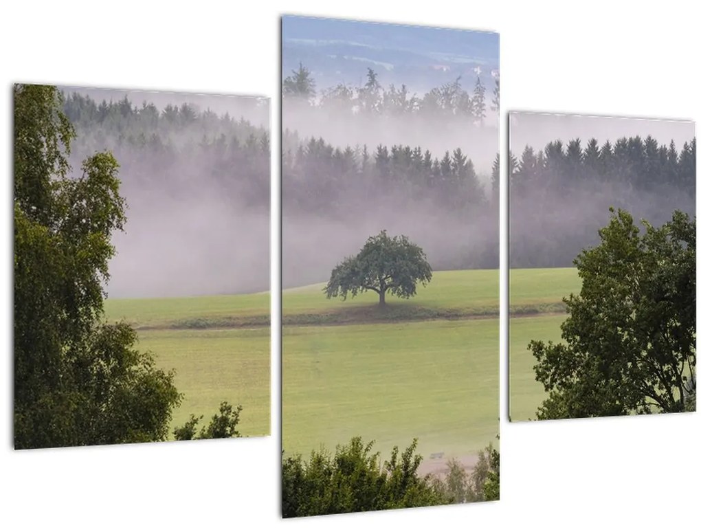 Tablou - Lunca cu copac (90x60 cm)
