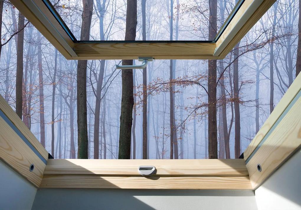 Fototapet - Privire din geam spre păduri în ceață (254x184 cm), în 8 de alte dimensiuni noi
