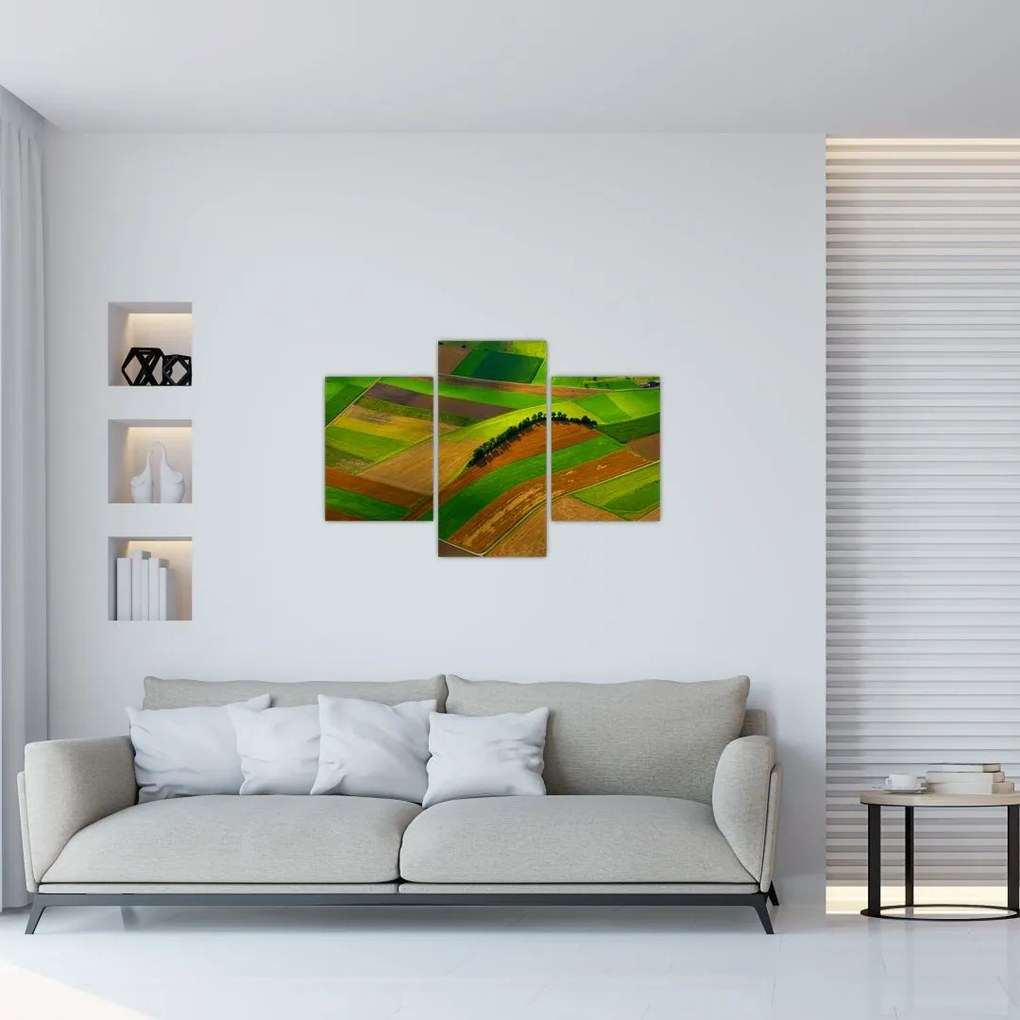 Tablou - Lan, luncile (90x60 cm)