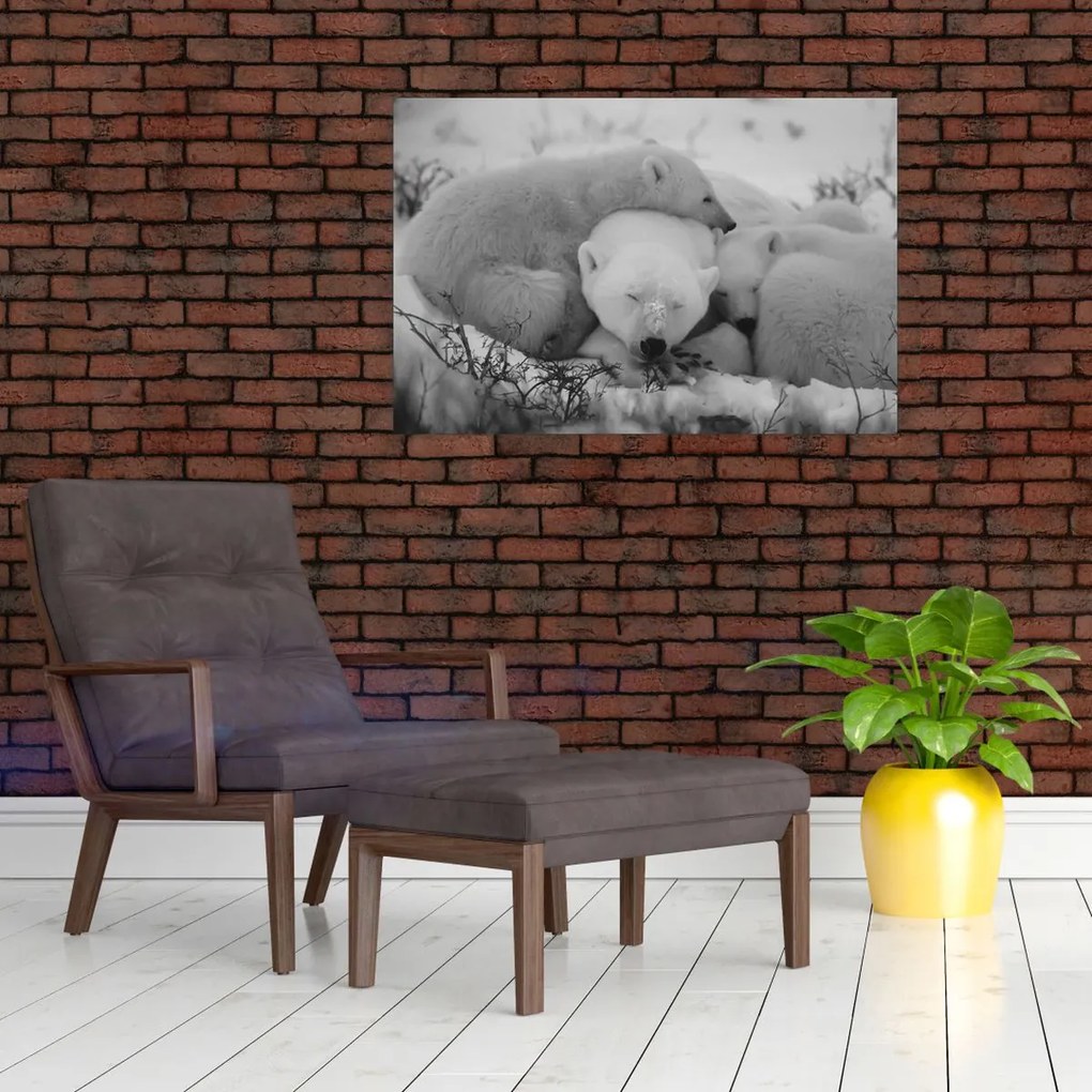 Tablou - Urși polari, alb-negru (90x60 cm)