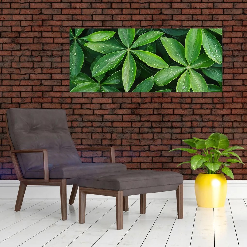 Tablou - Frunze cu picături de rouă (120x50 cm)