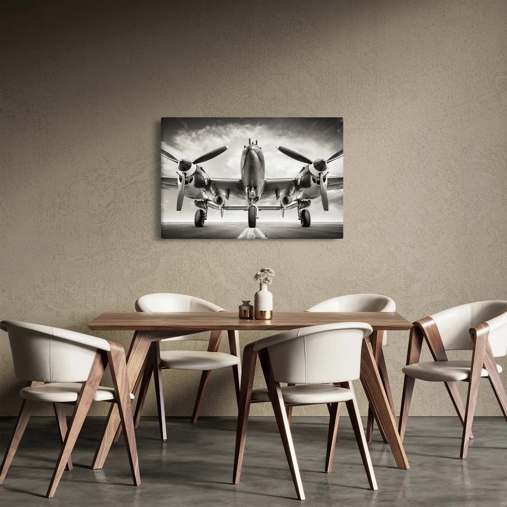 Tablou - Warbird (90x60 cm)