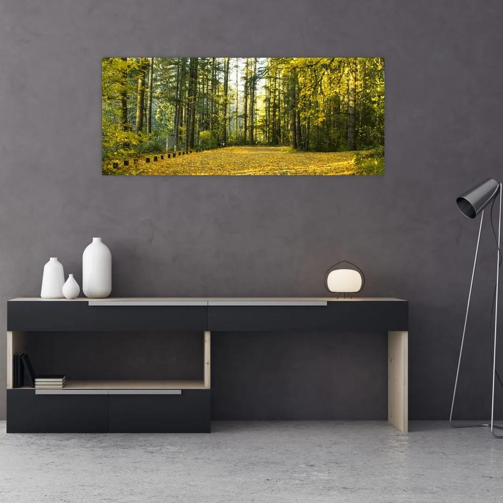 Tablou - pădurea toamna (120x50 cm), în 40 de alte dimensiuni noi