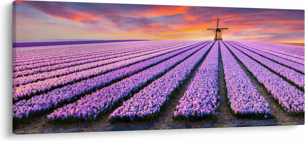 Tablou - ferma cu flori (120x50 cm)