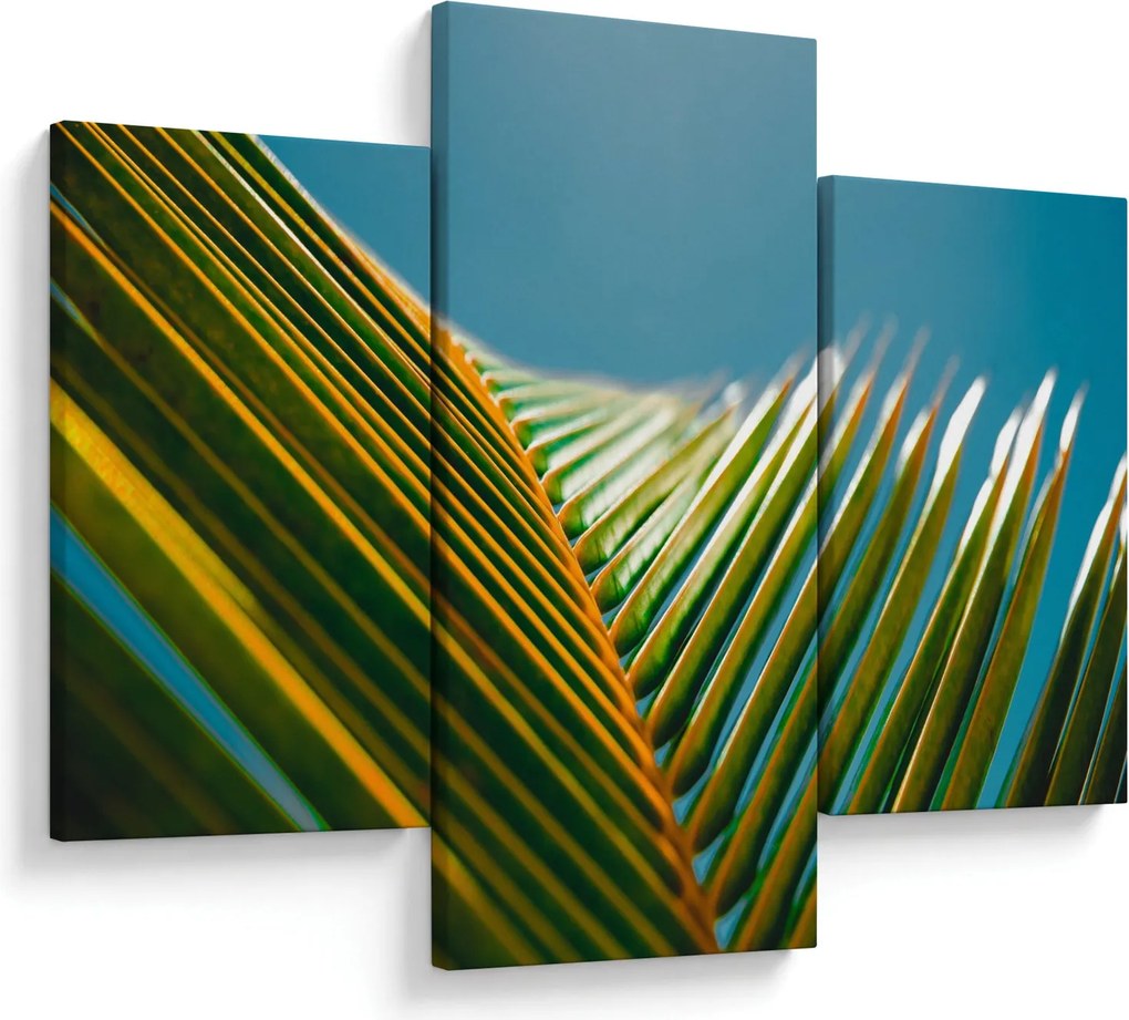Tablou - Frunze de palmier (90x60 cm)