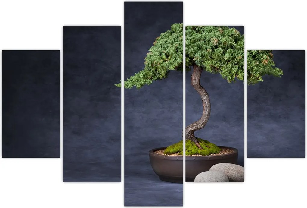 Tablou - Bonsai (150x105 cm)