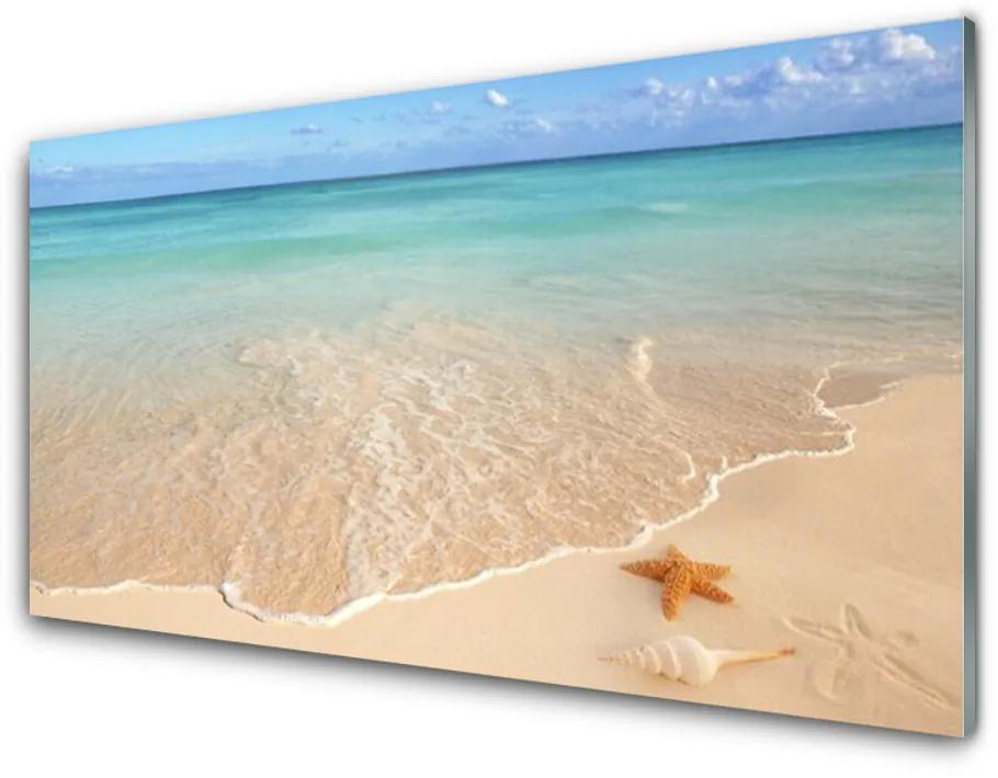 Tablouri acrilice Sea Beach Peisaj Starfish Albastru Maro