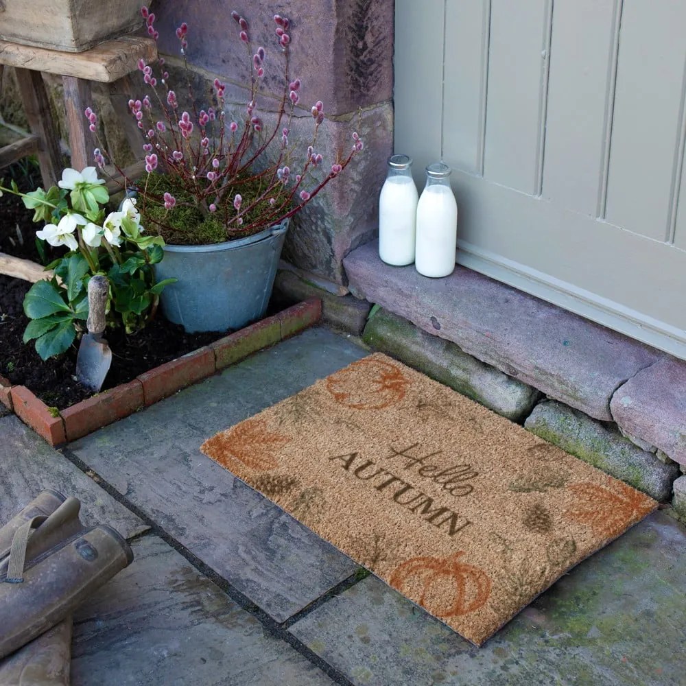 Covoraș de intrare din fibre de nucă de cocos 40x60 cm Hello Autumn – Artsy Doormats