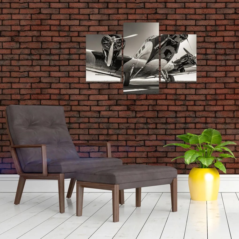 Tablou - Avioane istorice (90x60 cm)