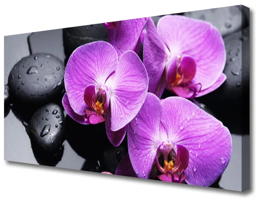 Tablou pe panza canvas Pietre florale flori violet negru