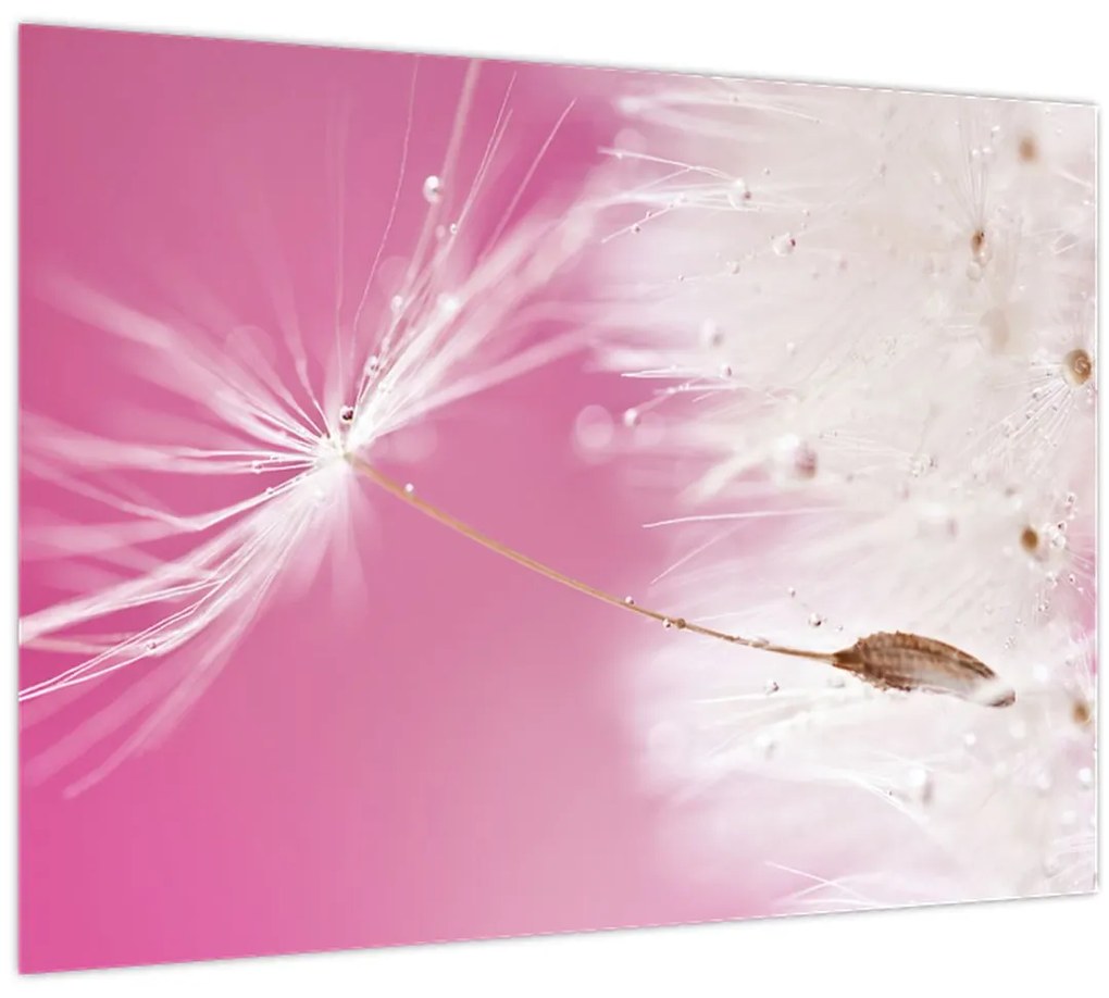 Tablou - Floare macro (70x50 cm)