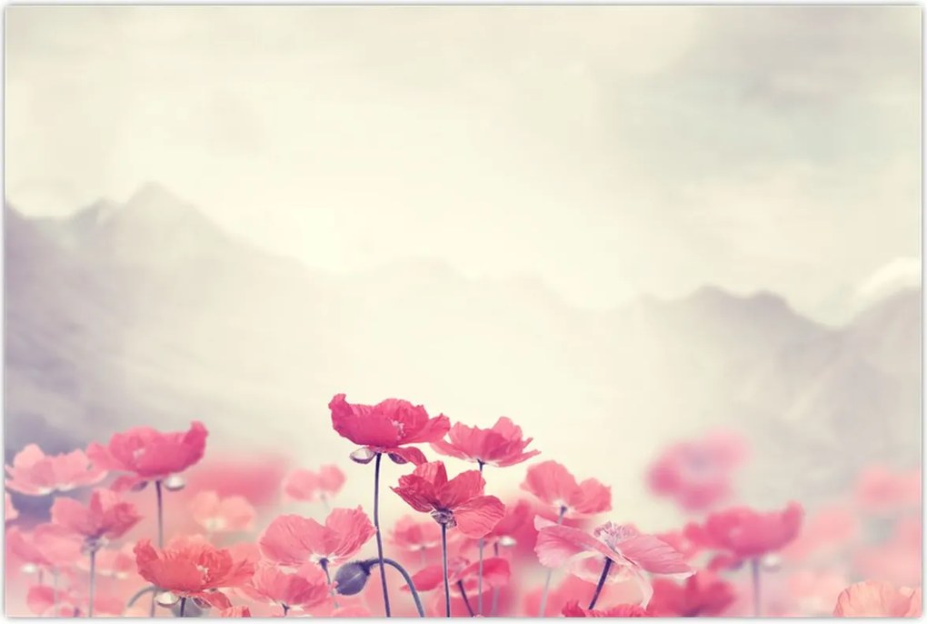 Tablou - Maci (90x60 cm)