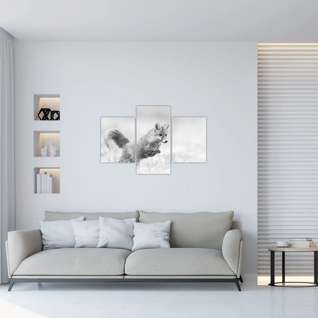Tablou - Vulpe care sare,alb-negru (90x60 cm)