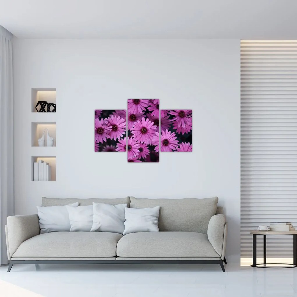 Tablou cu florile roz (90x60 cm)