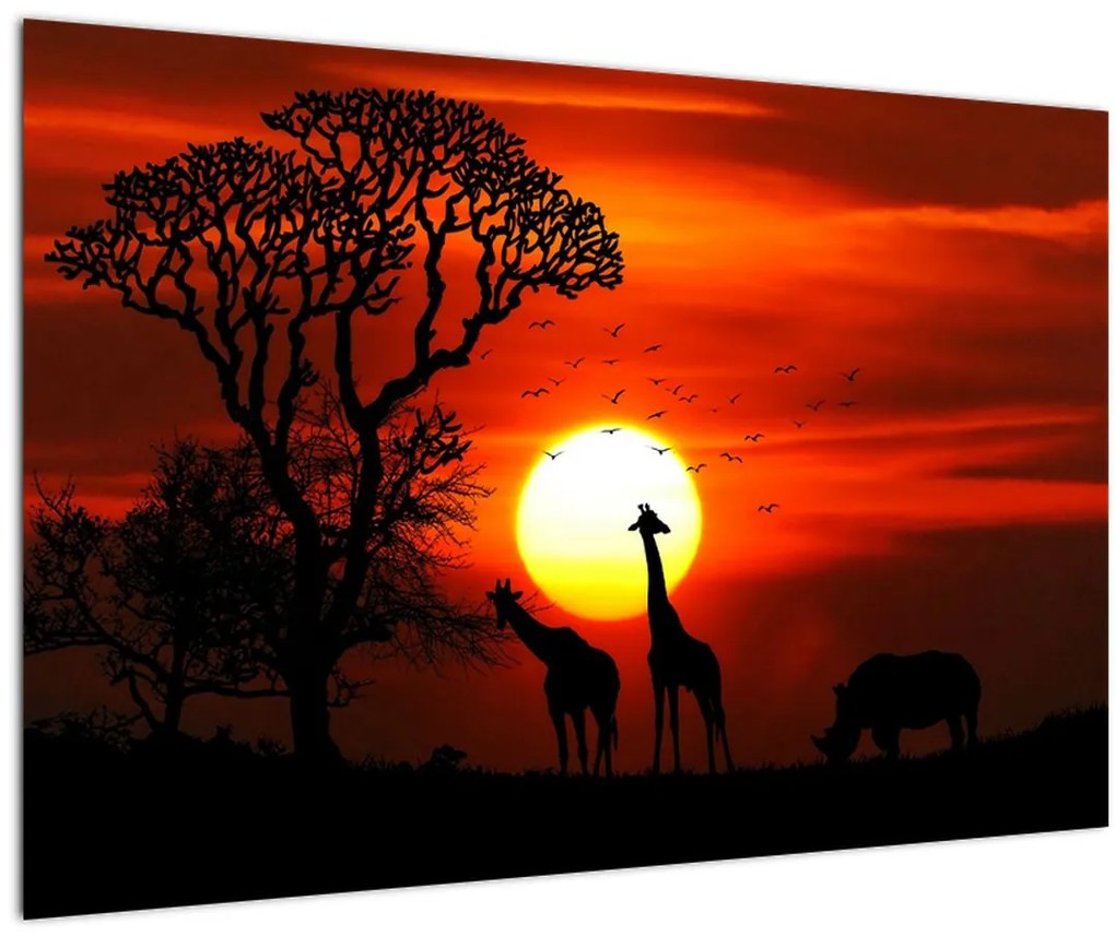 Tablou - Siluete animalelor la apus de soare (90x60 cm)